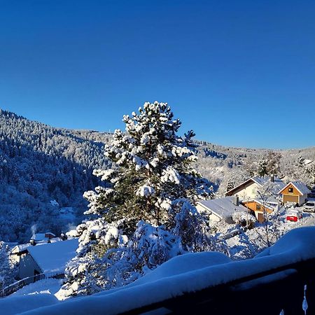 Grosse Ferienwohnung In Ruhiger Lage Mit Toller Aussicht In Triberg 트리베르크 외부 사진